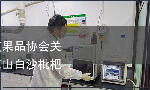 蘇州市吳中區東山鎮果品協會關于發布團體標準《東山白沙枇杷》的公告