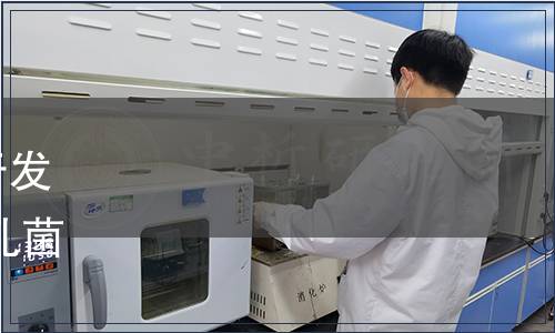 黑龍江省衛生健康委員會關于發布《食品安全地方標準 樺褐孔菌》食品安全地方標準的公告