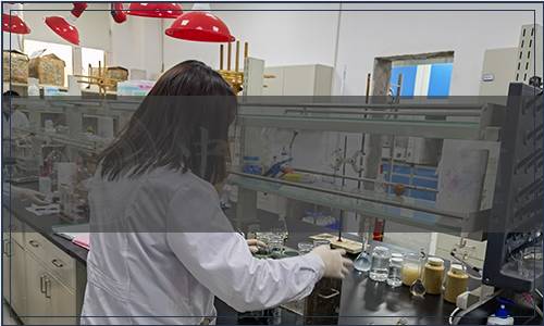 江蘇省市場監督管理局關于批準發布《綠葉菜類蔬菜免施肥栽培基質技術指標要求》等15項推薦性地方標準的公告（2023年第10號）