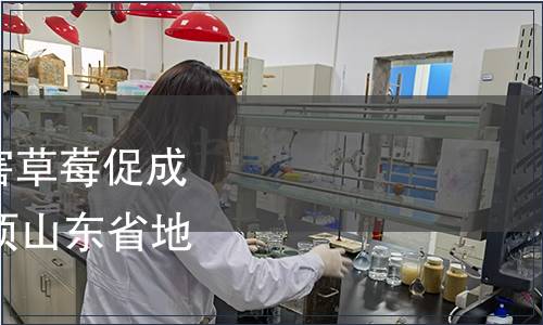 關(guān)于批準(zhǔn)發(fā)布《無公害草莓促成栽培技術(shù)規(guī)程》等47項(xiàng)山東省地方標(biāo)準(zhǔn)的公告