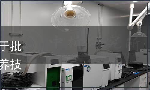 中關(guān)村量子生物農(nóng)業(yè)聯(lián)盟關(guān)于批準(zhǔn)發(fā)布《生豬無抗飼料與飼養(yǎng)技術(shù)規(guī)范》團體標(biāo)準(zhǔn)的公告