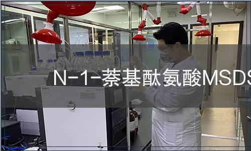 N-1-萘基酞氨酸MSDS