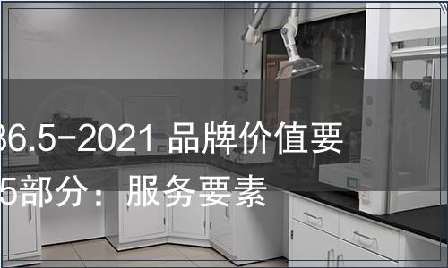 GB/T 29186.5-2021 品牌價值要素評價  第5部分：服務(wù)要素