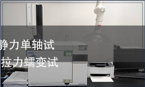 GB/T 16825.2-2018 靜力單軸試驗機的檢驗第2部分：拉力蠕變試驗機施加力的檢驗