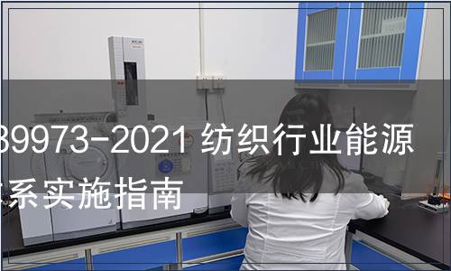 GB/T 39973-2021 紡織行業(yè)能源管理體系實施指南