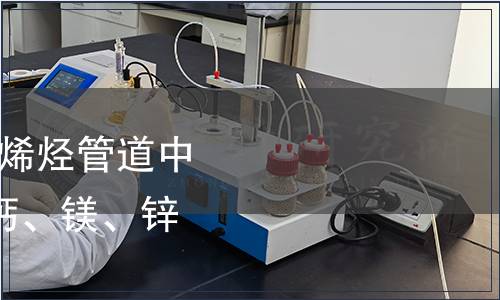 GB/T 39994-2021 聚烯烴管道中六種金屬元素（鐵、鈣、鎂、鋅、鈦、銅）的測定