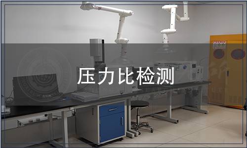 壓力比檢測
