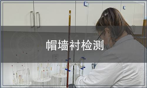 帽墻襯檢測(cè)