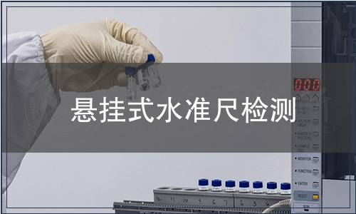 懸掛式水準尺檢測