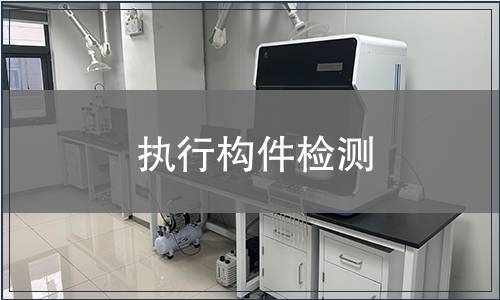 執(zhí)行構(gòu)件檢測