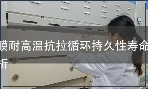 薄膜耐高溫抗拉循環(huán)持久性壽命分析