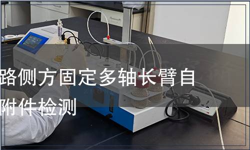 胸腰椎后路側(cè)方固定多軸長(zhǎng)臂自攻螺釘含附件檢測(cè)