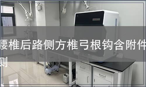 胸腰椎后路側(cè)方椎弓根鉤含附件檢測