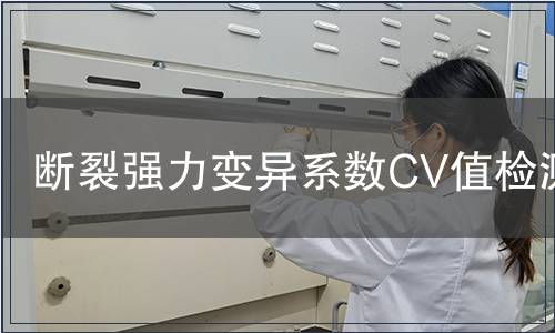 斷裂強力變異系數(shù)CV值檢測