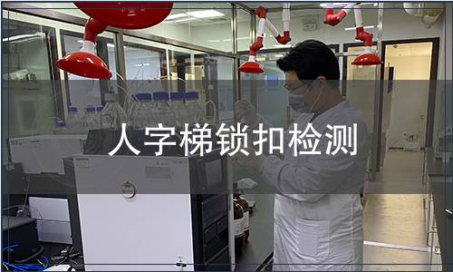 人字梯鎖扣檢測(cè)