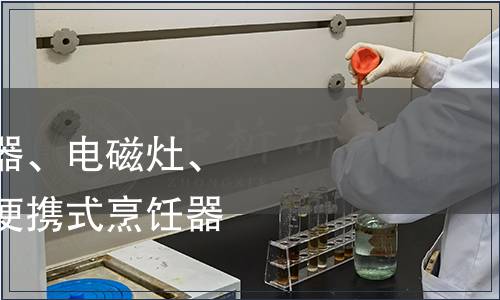 烤架、面包片烘烤器、電磁灶、電烤箱及類似用途便攜式烹飪器具檢測