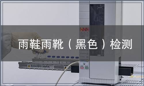 雨鞋雨靴（黑色）檢測