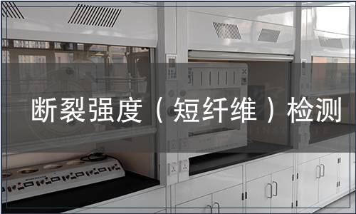 斷裂強度（短纖維）檢測