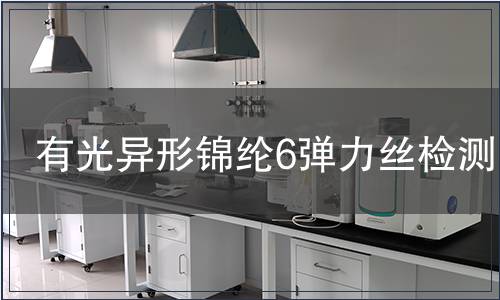 有光異形錦綸6彈力絲檢測