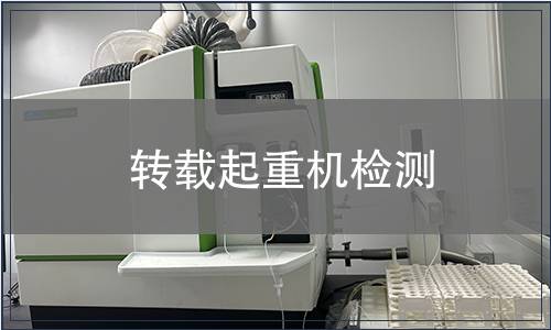 轉(zhuǎn)載起重機(jī)檢測(cè)