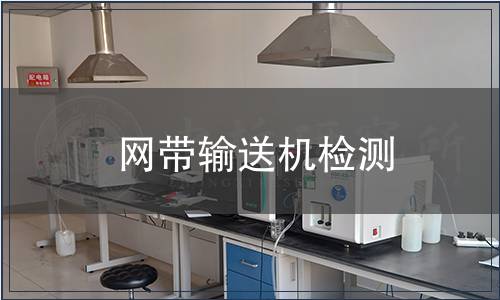 網(wǎng)帶輸送機(jī)檢測(cè)