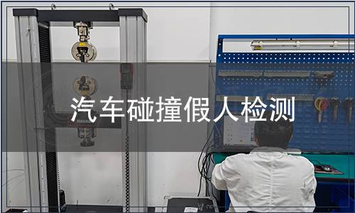 汽車(chē)碰撞假人檢測(cè)