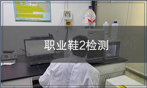 職業(yè)鞋2檢測(cè)