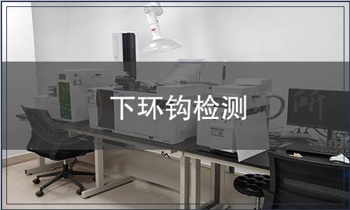 下環(huán)鉤檢測