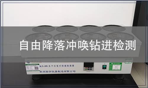 自由降落沖喚鉆進(jìn)檢測(cè)