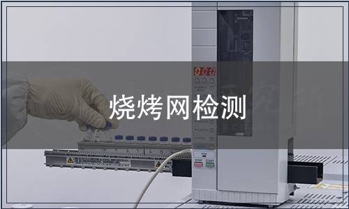 燒烤網檢測