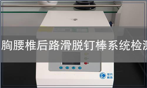 胸腰椎后路滑脫釘棒系統檢測