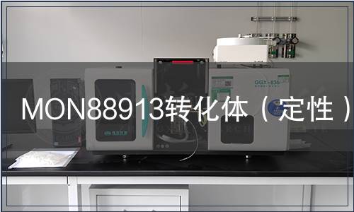 MON88913轉(zhuǎn)化體（定性）檢測
