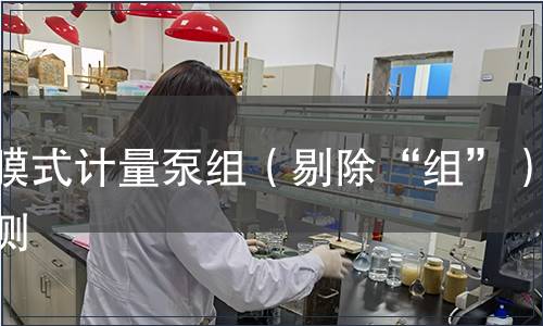 隔膜式計量泵組（剔除“組”）檢測