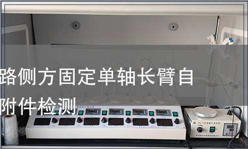 胸腰椎后路側方固定單軸長臂自攻螺釘含附件檢測