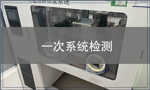 一次系統(tǒng)檢測