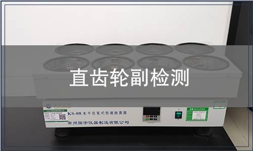 直齒輪副檢測(cè)