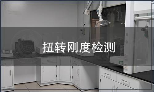 扭轉(zhuǎn)剛度檢測