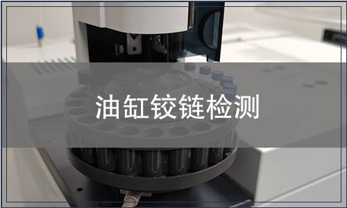 油缸鉸鏈檢測(cè)