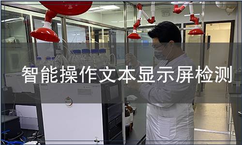 智能操作文本顯示屏檢測