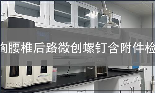 胸腰椎后路微創螺釘含附件檢測