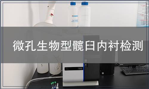 微孔生物型髖臼內(nèi)襯檢測