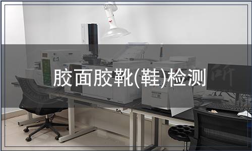 膠面膠靴(鞋)檢測