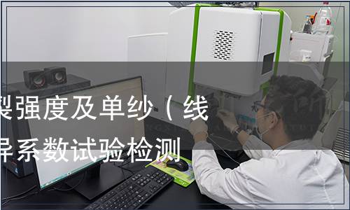 單紗（線(xiàn)）斷裂強(qiáng)度及單紗（線(xiàn)）斷裂強(qiáng)力變異系數(shù)試驗(yàn)檢測(cè)