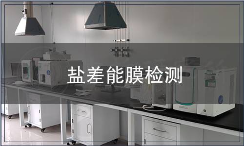 鹽差能膜檢測