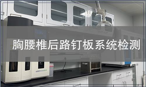 胸腰椎后路釘板系統檢測