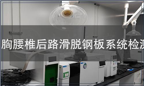 胸腰椎后路滑脫鋼板系統檢測