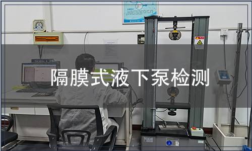 隔膜式液下泵檢測