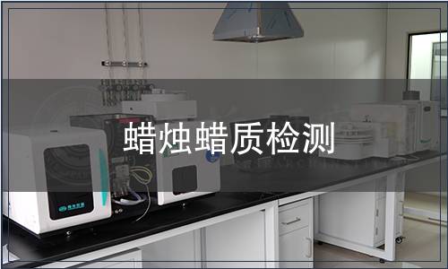 蠟燭蠟質(zhì)檢測