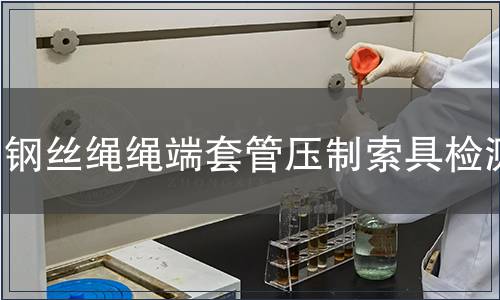 鋼絲繩繩端套管壓制索具檢測