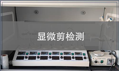 顯微剪檢測(cè)